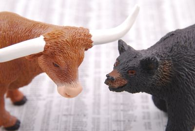 India Bullish on Equities Market